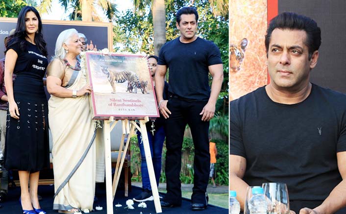 Salman Khan Says Wild Animals Are More 'Gentle' Than Humans