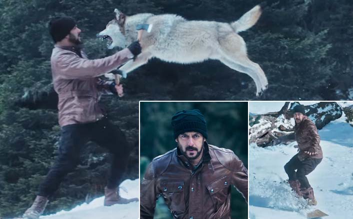 Tiger Zinda Hai Promo: Salman Khan Fights Wolves & We Can't Wait For The Movie 