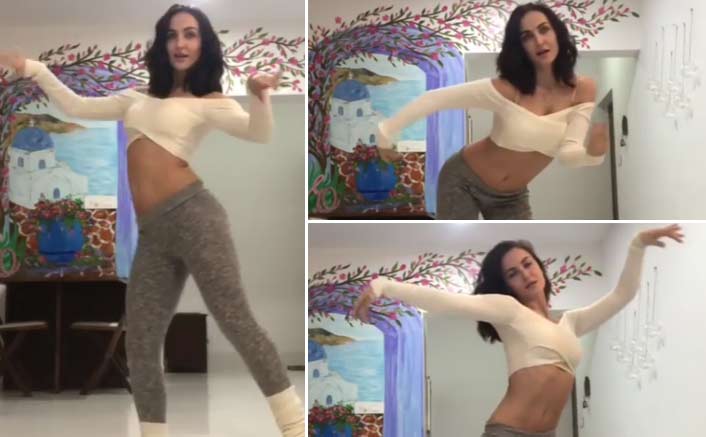 Elli Avram Is Raising The Hotness Meter With Her Belly Dance Moves On This Song From Padmaavat