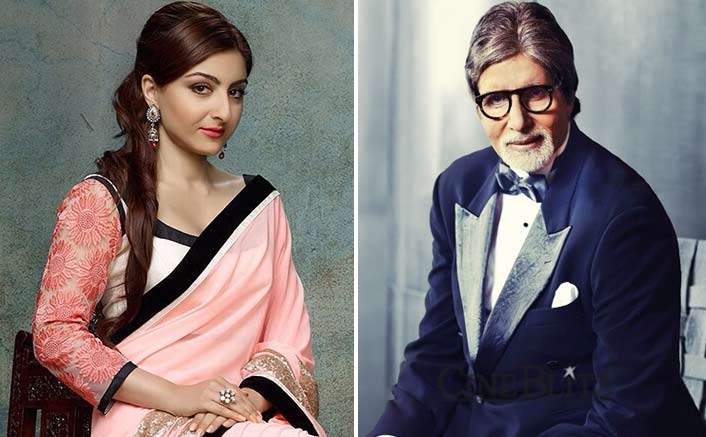 Soha receives letter of encouragement from Big B
