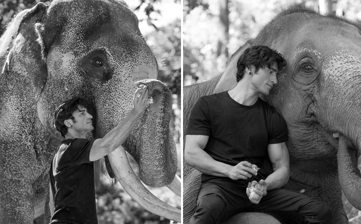 Vidyut Jammwal On Shooting This Magical Scene With An Elephant In Junglee