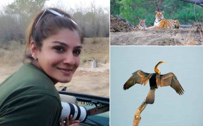 Raveena Tandon's wildlife photography to be exhibited