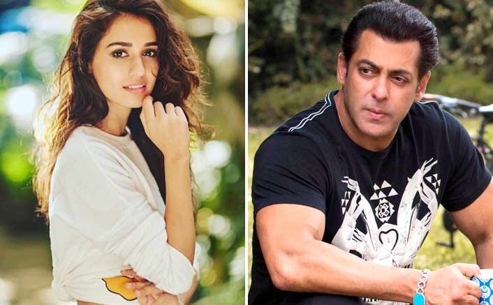 Disha Patani, Salman Khan to sizzle on screen in Bharat