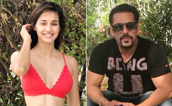I can't judge myself in terms of acting: Disha Patani