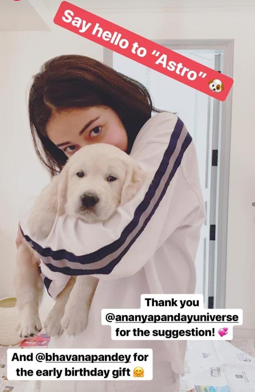 Ananya Pandey's pre-birthday gift from her mom is too cute to handle!