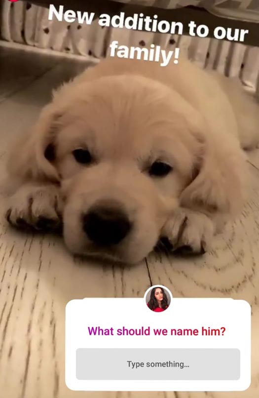 Ananya Pandey's pre-birthday gift from her mom is too cute to handle!