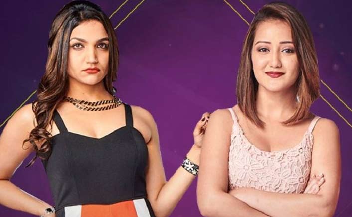 'Bigg Boss 12' evictees had experience of a lifetime