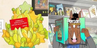 'BoJack Horseman' renewed for season 6