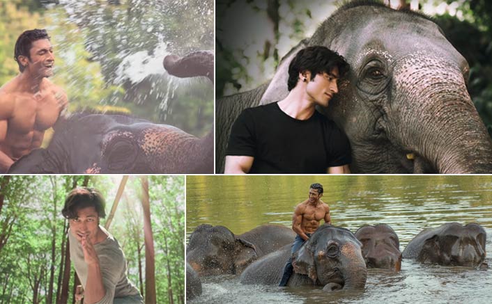 Teaser of Vidyut Jammwal starrer Junglee released today!