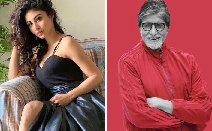 I can now die happily after working with Big B: Mouni Roy