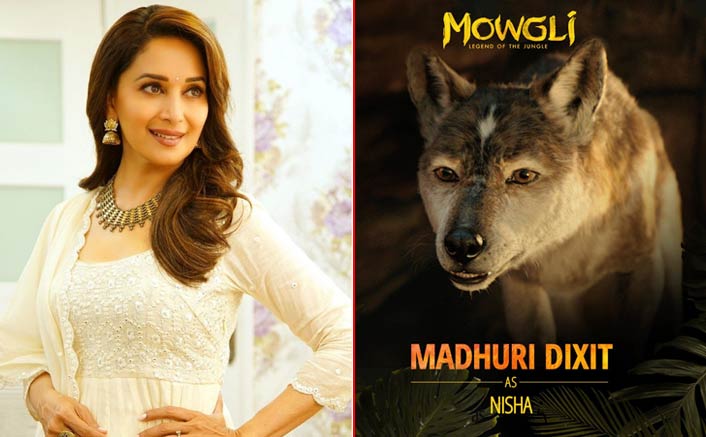 Madhuri thrilled about 'Mowgli...'