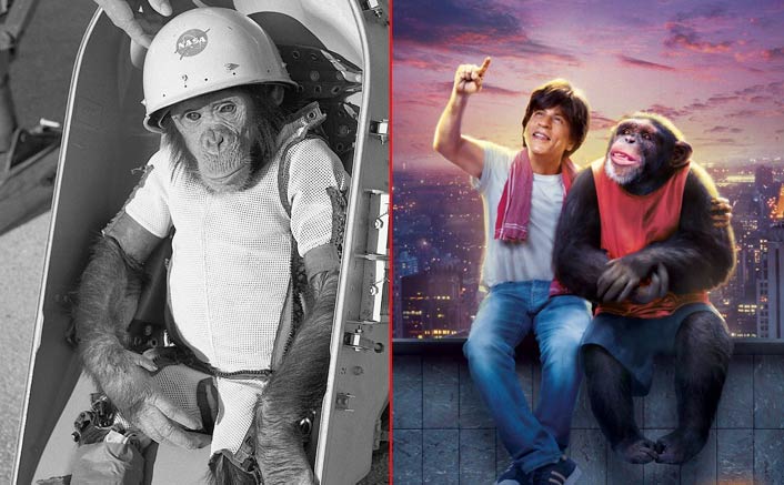 Decording Zero Climax: These Crazy Theories About The Shah Rukh Khan Starrer Are VIRAL On The Internet!