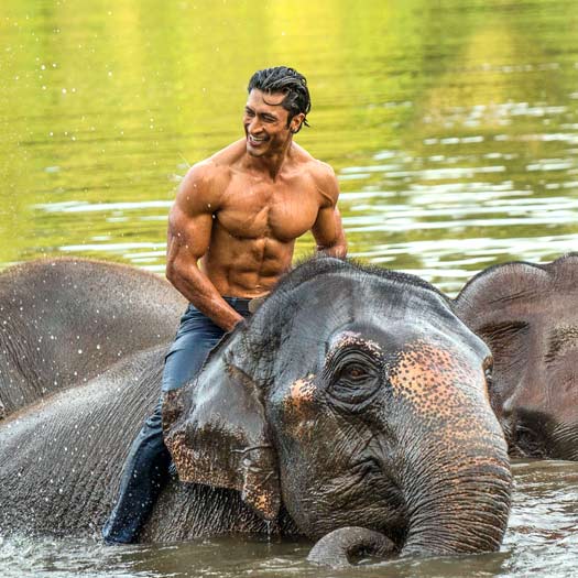 Junglee