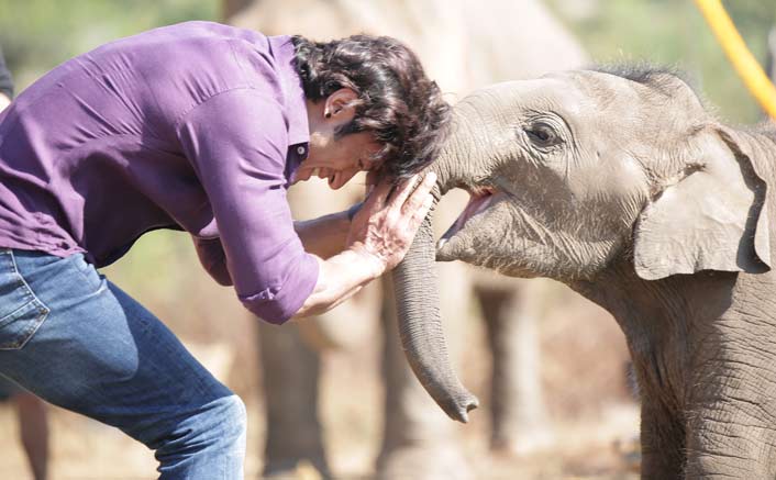 Vidyut Jammwal’s special friend- a baby elephant, Moonbeam