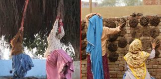 Bhumi, Taapsee pose with cow dung cakes