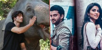 Box Office - Junglee and Notebook start on expected lines