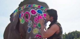 Junglee's Song Garje Gajraj Hamare On ‘How’s The Hype’: BLOCKBUSTER Or Lacklustre?