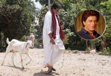 Is Amitabh Bachchan’s Twitter Post With Goat In Relation To Recent Shah Rukh Khan Banter? Big B 'walks' goat after Twitter banter with SRK