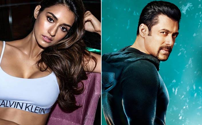 Disha Patani Denies Of Being Approached For Salman Khan's Kick 2!