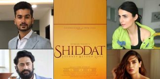 Radhika, Mohit, Diana, Sunny in 'love story'