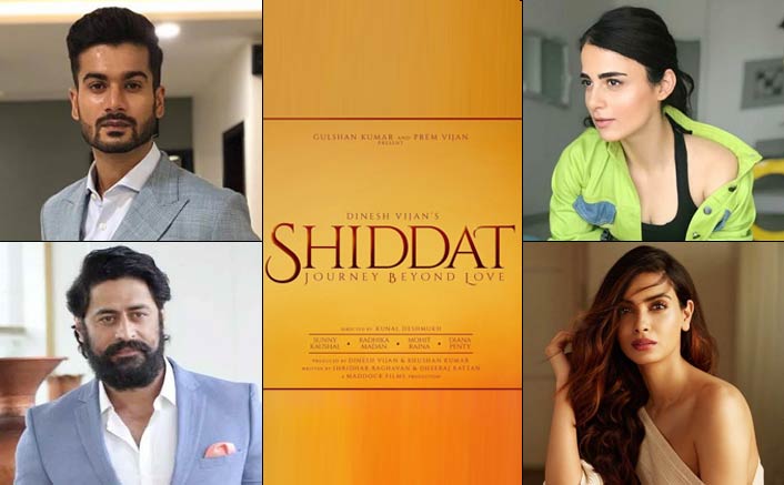 Radhika, Mohit, Diana, Sunny in 'love story'