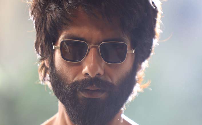 Kabir Singh Box Office Day 13 Early Trends: 