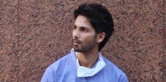 Kabir Singh Box Office
