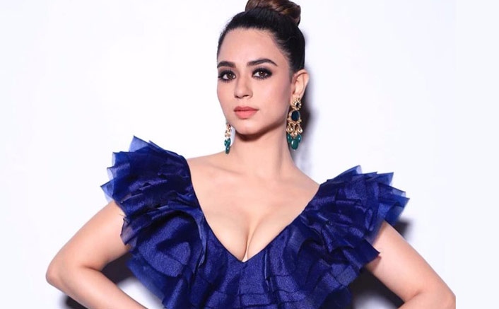 Monkey enters actress Soundarya Sharma's room