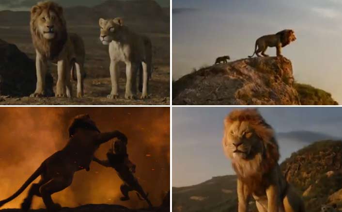 SRK shares glimpse of 'his' Simba