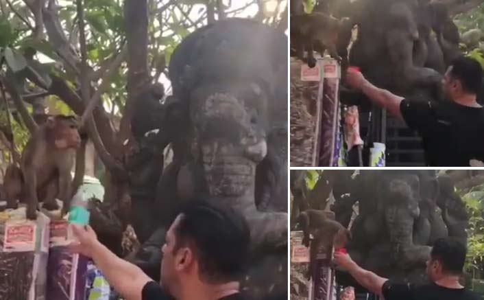 When Salman Khan offered water to a monkey