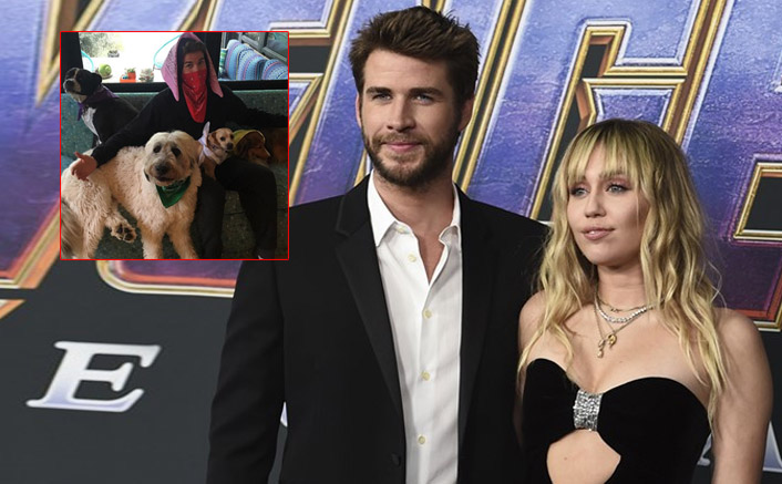 After Splitting With Liam Hemsworth, Miley Cyrus To Keep All Of Her Pets