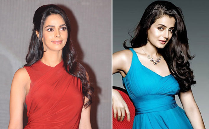 Bigg Boss 13: Not Ameesha Patel But Mallika Sherawat Was Approached For Salman Khan’s Show?