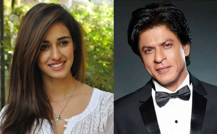 Disha Patani On Nepotism: "Shah Rukh Khan Was Nobody, But His Talent Took Him Here"