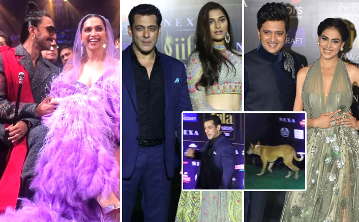 IIFA 2019 Moments: Dog Chasing Salman Khan, Ranveer Singh-Deepika Padukone’s Passionate Kiss & More!