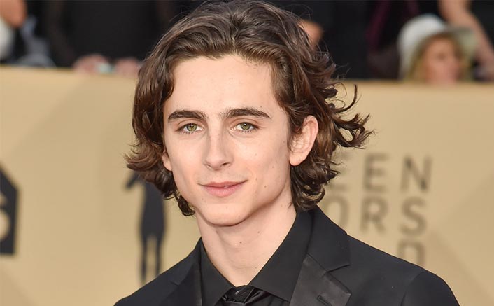 Twitter Thinks Timothée Chalamet Looks Like Anything But an Oscar-Nominated  Actor