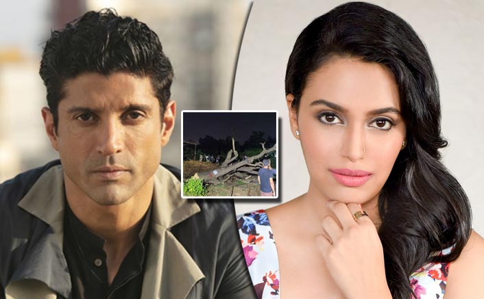 Aarey Protest: Farhan Akhtar, Swara Bhasker React To 400 Tress Being Cut Down Last Night