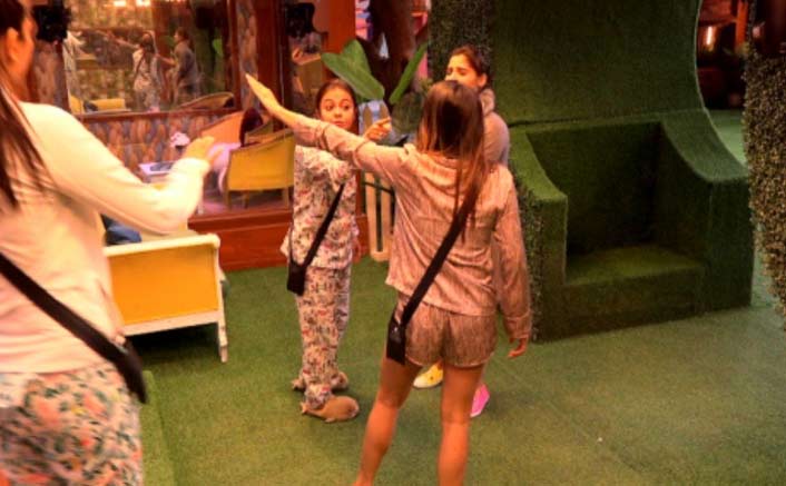 'Bigg Boss 13': Shefali, Devoleena's fight gets ugly