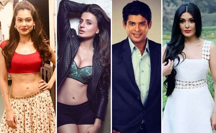 Ex Bigg Boss Contestant Payal Rohatgi Calls Out Ameesha Patel, Koena Mitra, Siddharth Shukla For Being Jobless