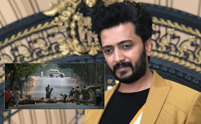 Riteish: Each tree belongs to citizens as much as to govt