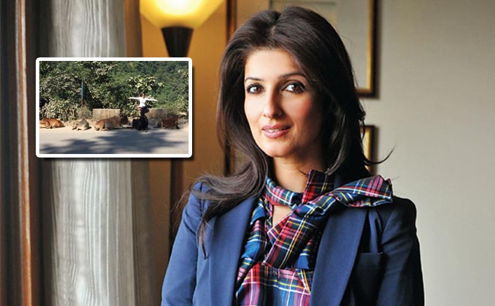 Twinkle Khanna Posts A Sarcastic Post On Instagram About 6 Sacred Cows & It's Making Everyone LOL