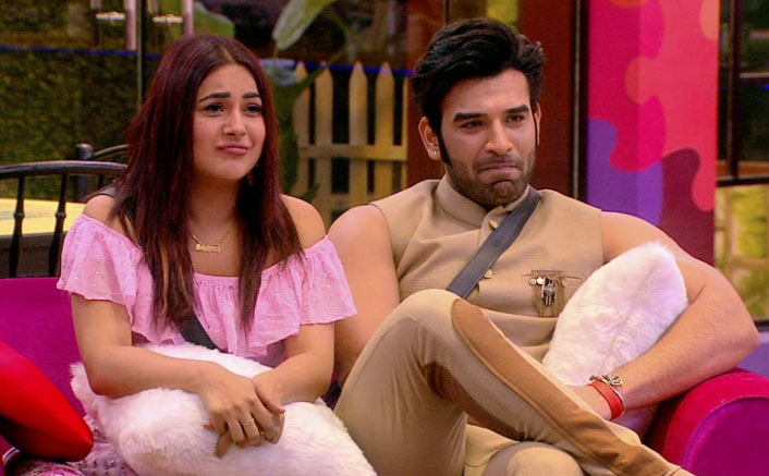 Paras Chhabra-Shehnaaz Gill