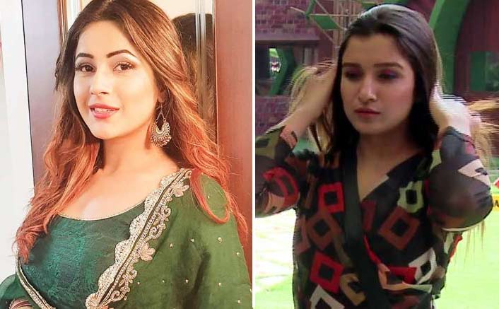 Bigg Boss 13's Shefali Bagga On Spat With Shehnaz Gill: "Nobody Got To Know What She Said"