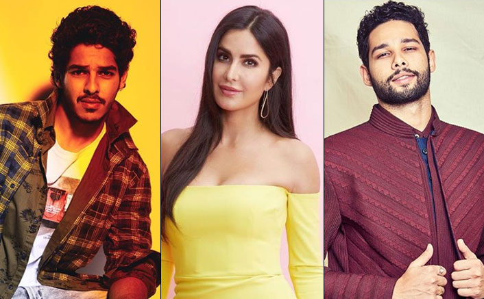 Is Katrina Kaif Going To Share Screen Space With Siddhant Chaturvedi and Ishaan Khatter For An Action Drama?