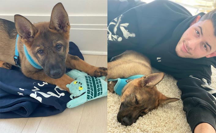 Priyanka Chopra Jonas’ ‘Almost Anniversary’ Gift For Nick Jonas Is PAWdorable