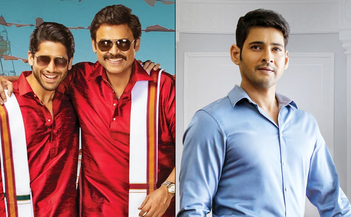 Mahesh Babu In Awe Of Venkatesh & Naga Chaitanya's Chemistry In 'Venky Mama'