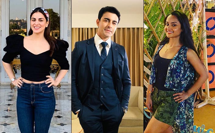 Small screen stars have big plans for New Year