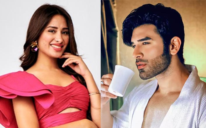 Bigg Boss 13: Mahira Sharma Just SLAPPED Paras Chhabra In A Fit Of Rage, Leaves The Latter Fuming?