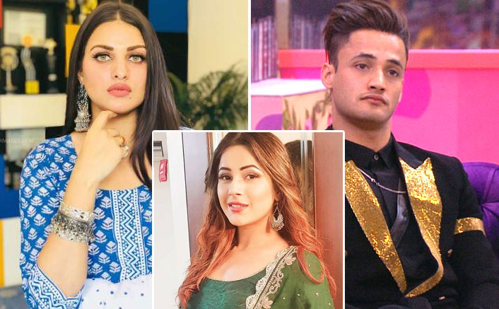 Bigg Boss 13: Not Asim Riaz, Himanshi Khurana Reveals REAL Reason Behind Broken Marriage & It’s Shehnaaz Gill