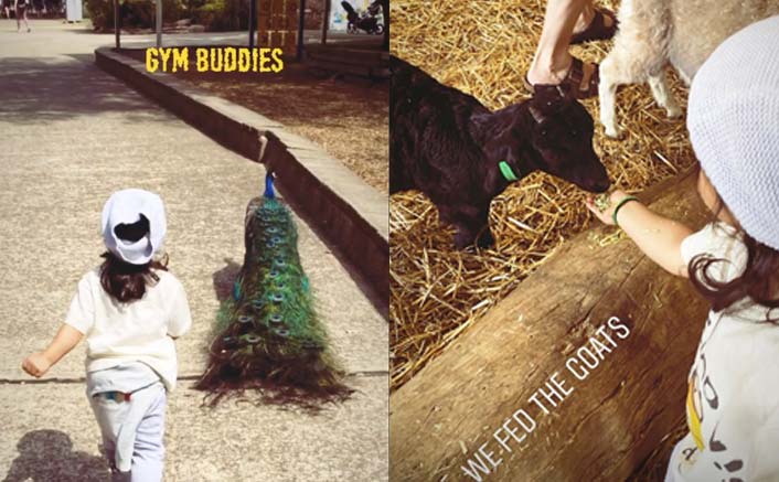 Soha-Kunal's daughter Inaaya feeds ponies, goats at farm