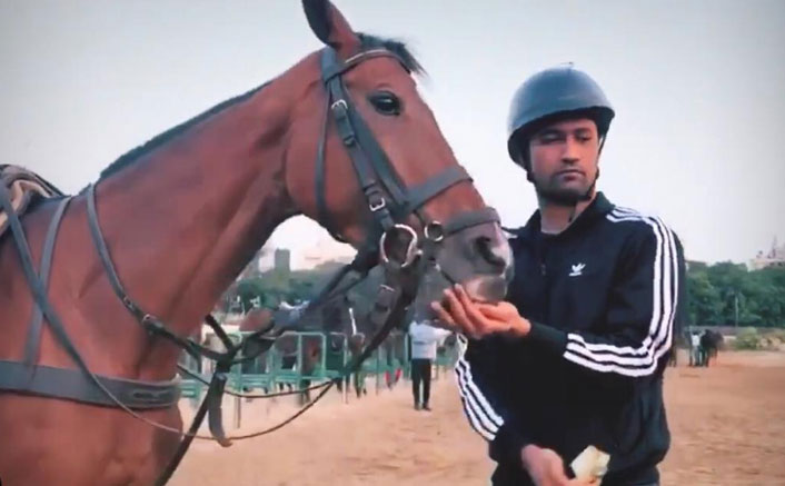 Vicky Kaushal Spotted Petting A Horse! Has He Started The Prep For Takht As Well?